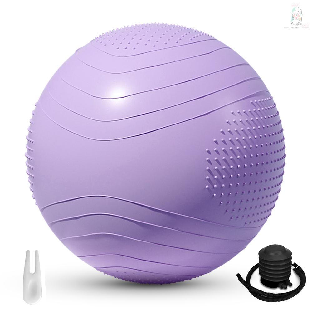 Yoga Ball Thick Anti Burst Fitness Ball Slip Resistant Pilates Exercise Ball Stability Ball For Balance Exercise Workout Core Training Quick Pump Included Balance Ball Desk Chair In Gym Office Indoor