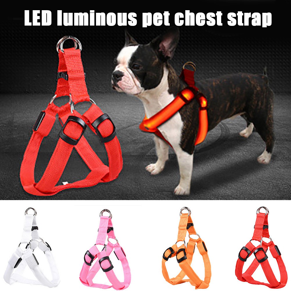Arnés Ajustable LED Mascota Perro Cachorro Mascota de carga USB correa de pecho noche Caminar 