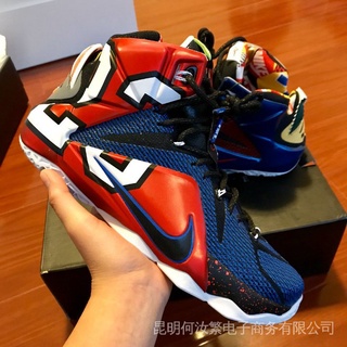 zapatos lebron james 12