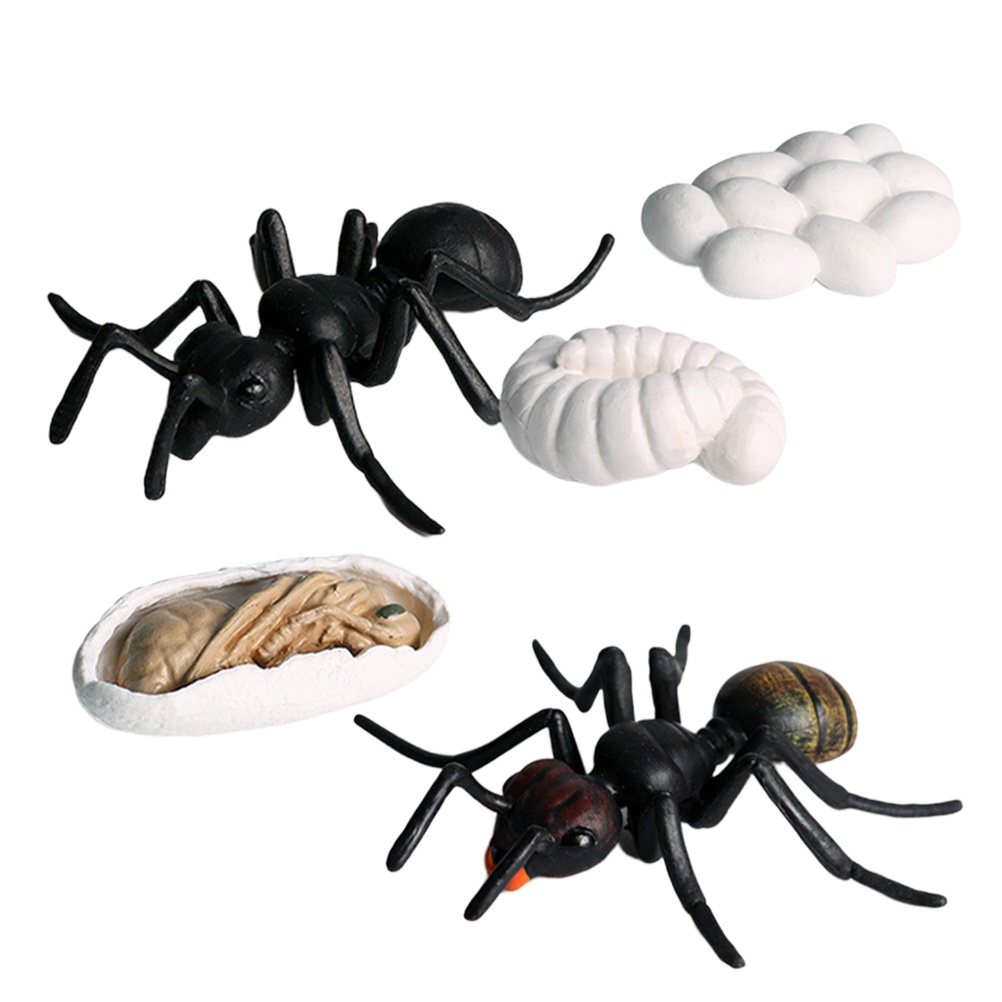Nuevo Safari 5 X Mini Bumble Bee de plástico sólido Juguete Animal De Insectos Bug 