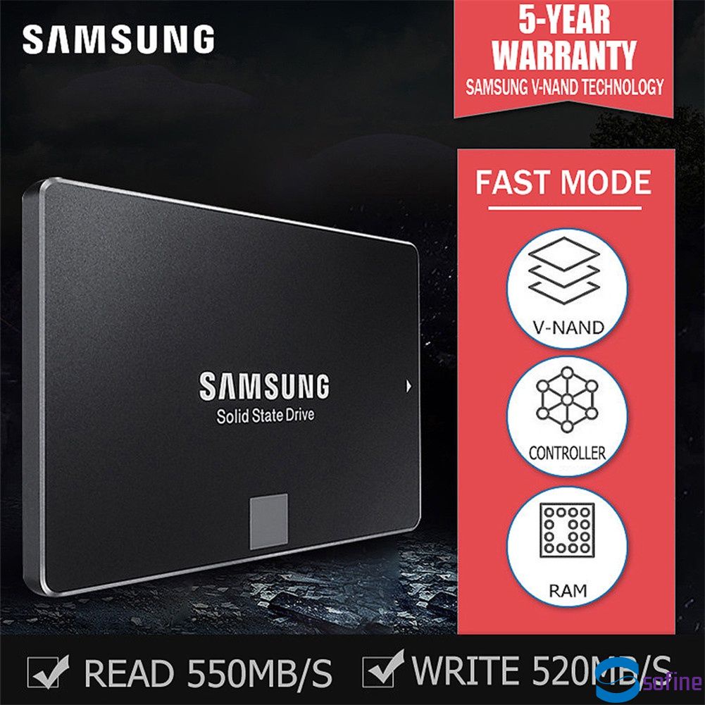 激安正規 Sata3 Drive State Solid 内蔵 Dogfish Ngff 1TB SSD 2280 M.2 Sata? 22 * 80  内蔵型SSD - tapansheth.com