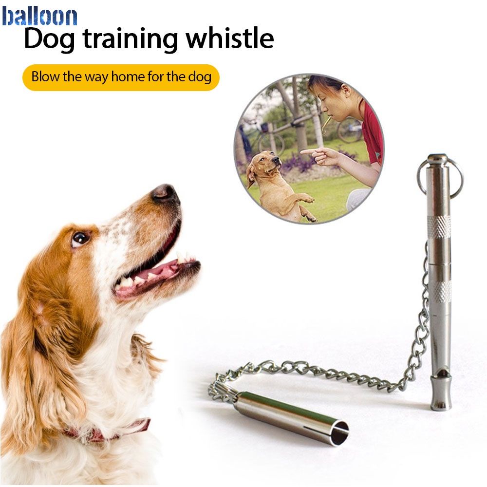 Will A Dog Whistle Stop Dogs From Barking