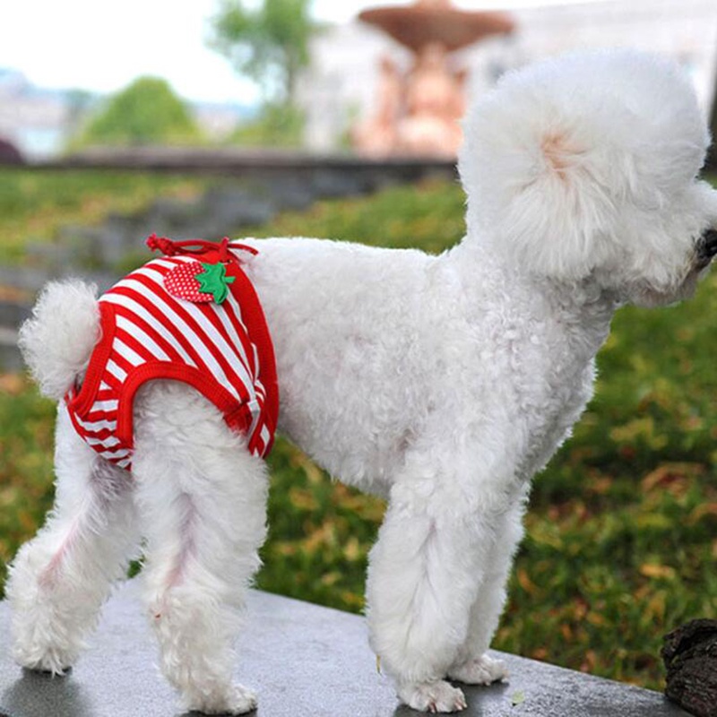 Zolimx Suéter Perro Cachorro de Perro Mascota Ropa Perro Pequeño Verano Camiseta Chaleco Clásico Perro Ropa a Rayas Ropa de Chaleco Ropa para Mascotas 