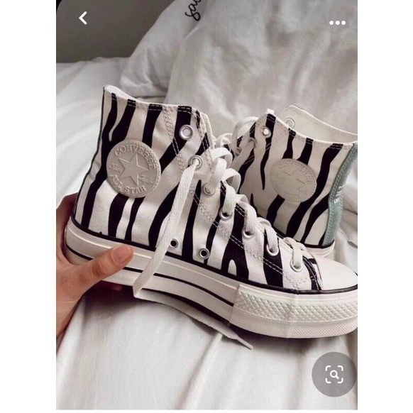 converse cebra