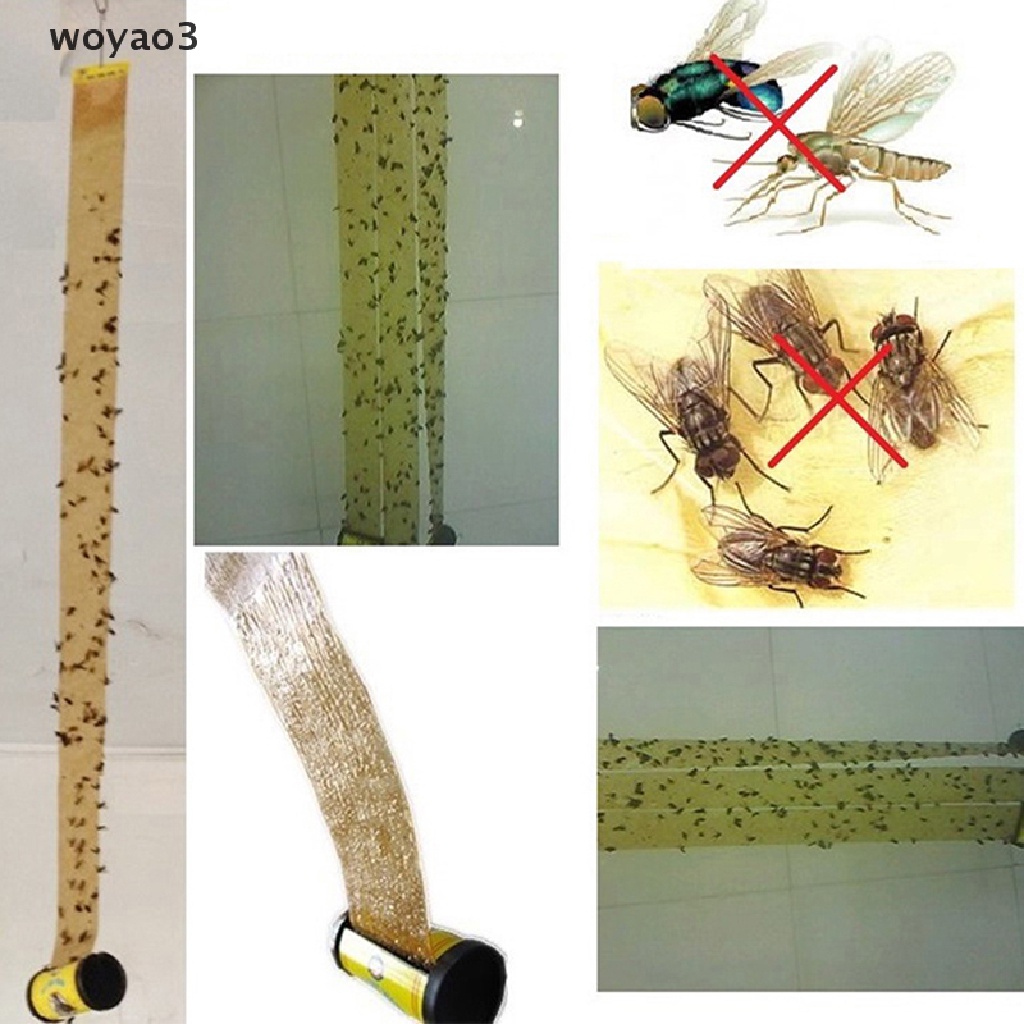 Papel moscas 6 cintas atrapa moscas insectos mosquitos adhesivo pegamento 