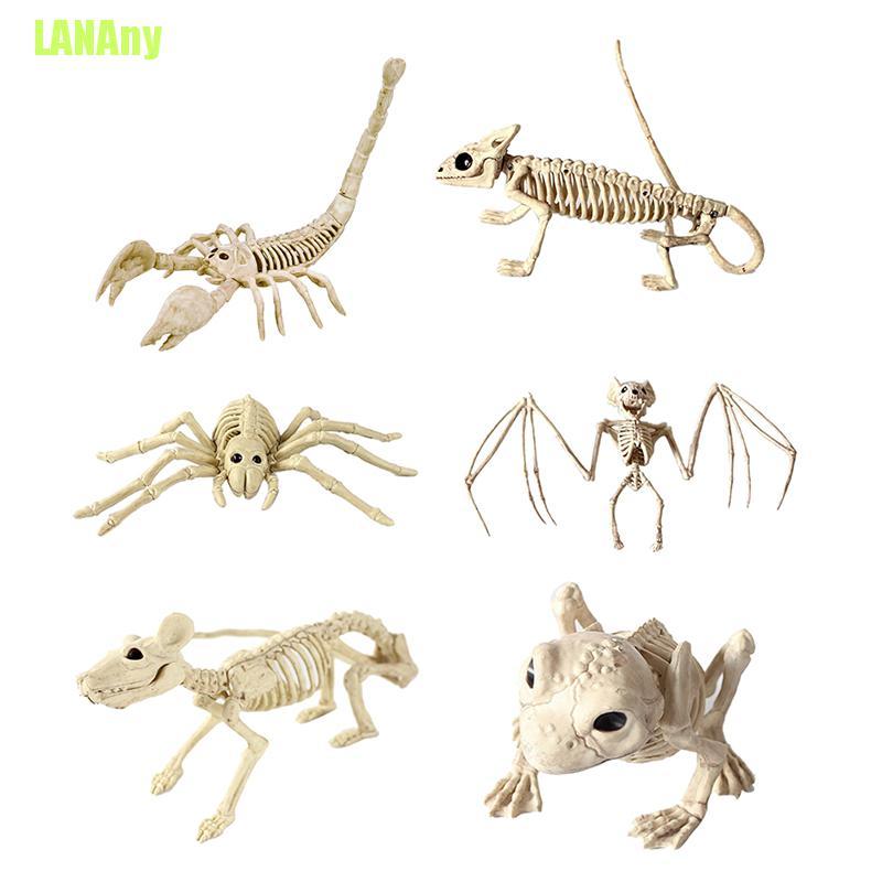 LANAny Halloween Skeleton Cat Dog Mouse Prop Animal Bones Party Shop  Decoration Horro | Shopee México