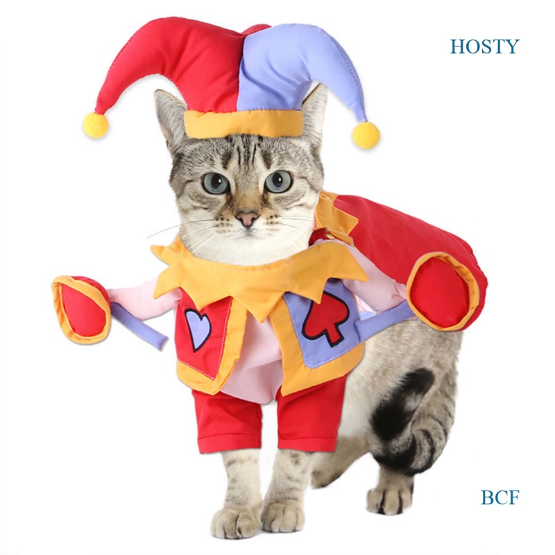 Sombrero de Navidad para mascotas bufanda de rayas traje de Navidad Año Nuevo Vestirse para perro cachorro gato M 