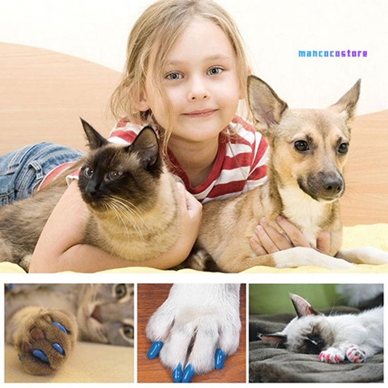POPETPOP 100 Piezas de Tapas de Uñas de Gato Coloridas Mascotas Gato Garras Suaves Cubiertas de Uñas Patas de Control Garra Protector de Uñas para Mascota Gato Gatito Tamaño XS 