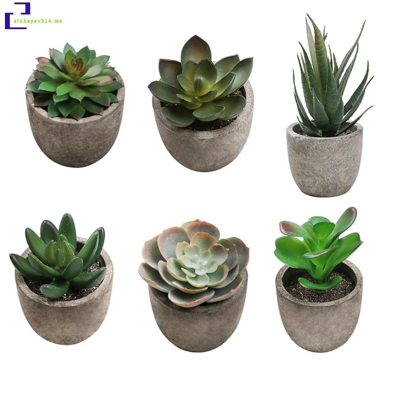 Plantas Artificiales En Macetas-Mini Falsas-Juego De 6 Pequeñas De Interior  De Imitación Para Estante Decoración De Escritorio De Mesa | Shopee México