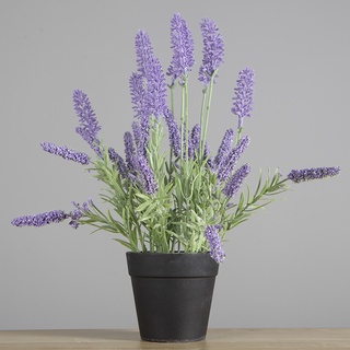 Planta Artificial De Flor Lavanda Árbol De Mesa Mini Hogar Decoración De  Interior 34CM | Shopee México