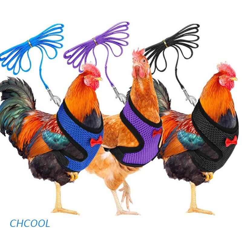 chcool arnés ajustable de pollo con correa para gallinas gallos pato  mascotas pequeñas 3 colores | Shopee México