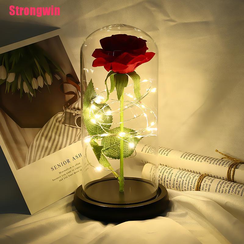 win] luz led rosa eterna en cubierta de vidrio decoración del hogar día de  san valentín madre ne | Shopee México