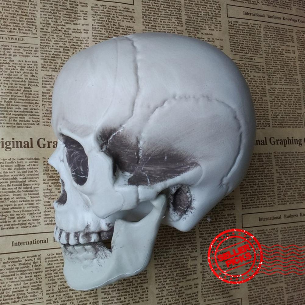 Halloween Decorations Mini Plastic Artificial Skull Party Statues Scary Skeleton Head Horror S6a9 Shopee Mexico