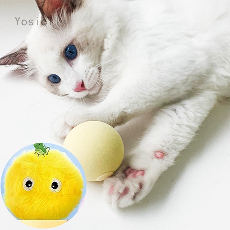 Hiinice Gatito del Gato Pelota de Juguete Interactivo Pluma Juguetes Linda Entretenedor molienda Chew Jugar con Juguetes para Mascotas 3PCS 