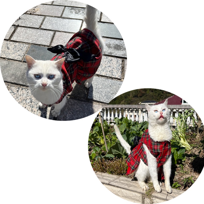 rayas grises, M cómodo para primavera suéter delgado para perros pequeños y gatos YAODHAOD Suéter de punto para perro ropa de mascota otoño 