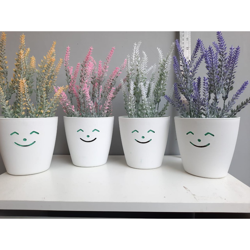 Cama de lavanda + olla sonrisa lavanda flor pared flores ornamentales flores  de plástico pasta flores | Shopee México
