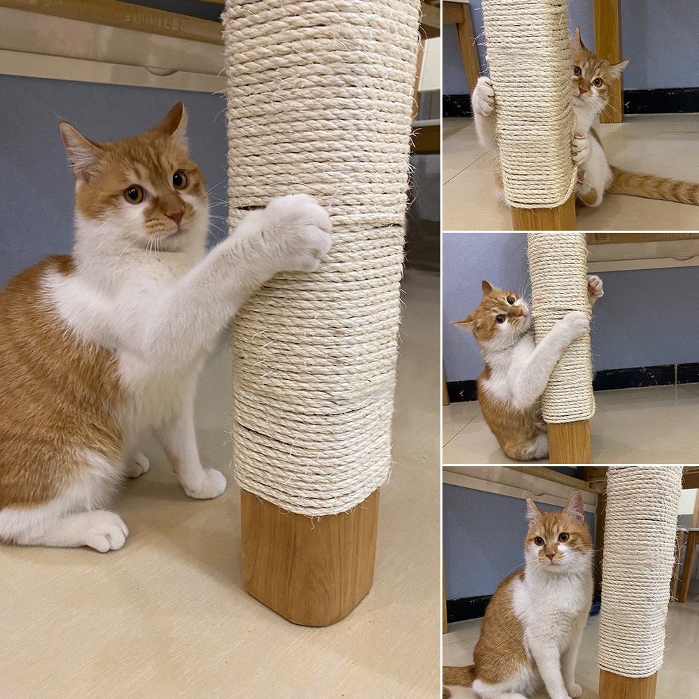 Árbol de Actividades para Gatos condo Juguete para Gatos y Gatitos Perca casa Muebles de Escalada con Postes de sisal para rascar Mascotas Hamaca Cuerda para Colgar ZXJOY 