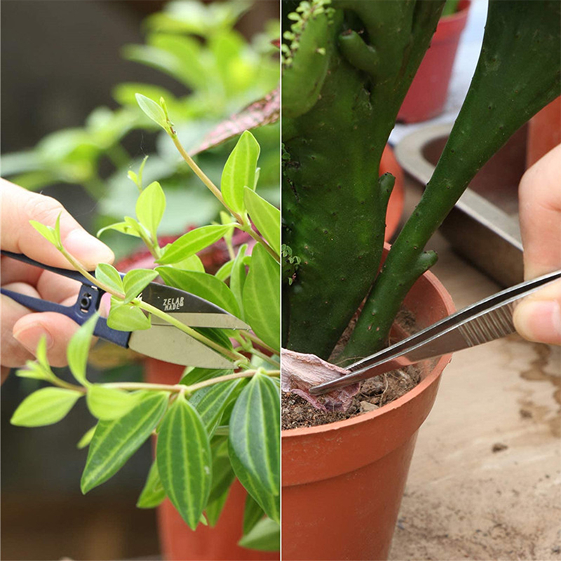 Juego de 10 herramientas de plantación de jardín Bonsai suculentas  trasplante miniatura | Shopee México