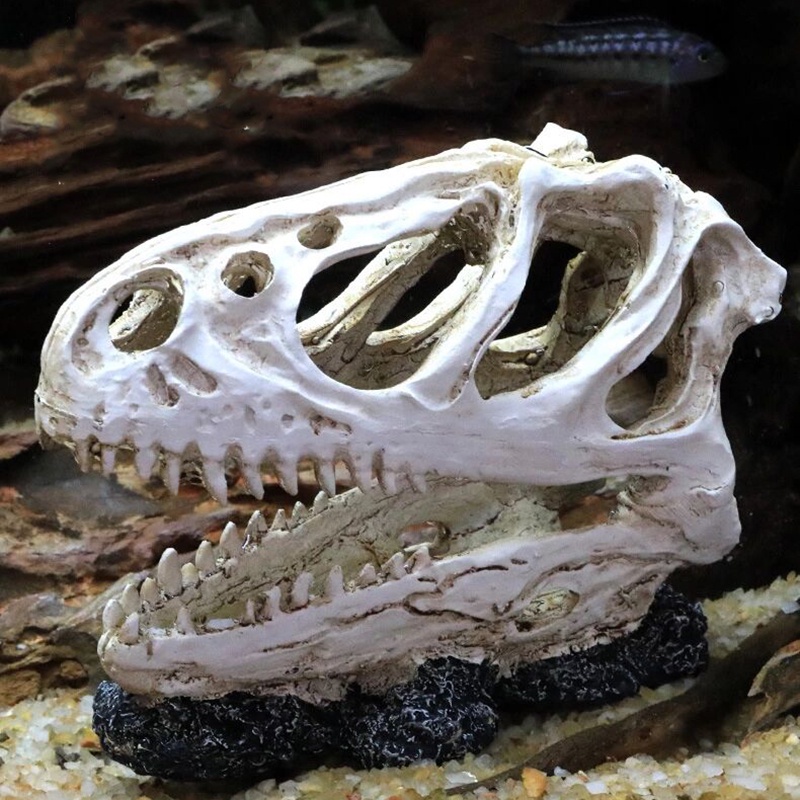 Cráneo de Dinosaurio Resina Dinosaurio Cráneo Acuario Decoración Reptil Pescado Tanque Ornamento Decoración Del Hogar 