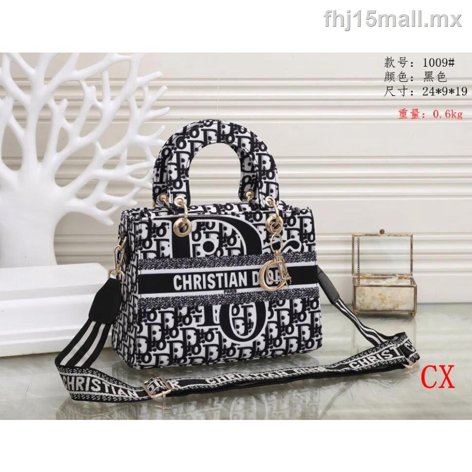 christian dior carteras