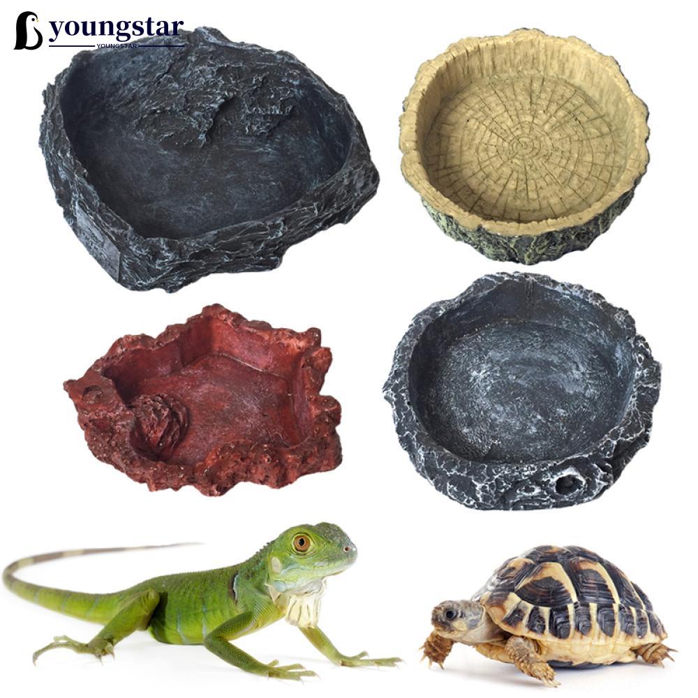 Yanhonin Cuenco Cuenco Reptil para Reptiles y amphibianos Accesorios terrarísticos Cuenco de Agua 