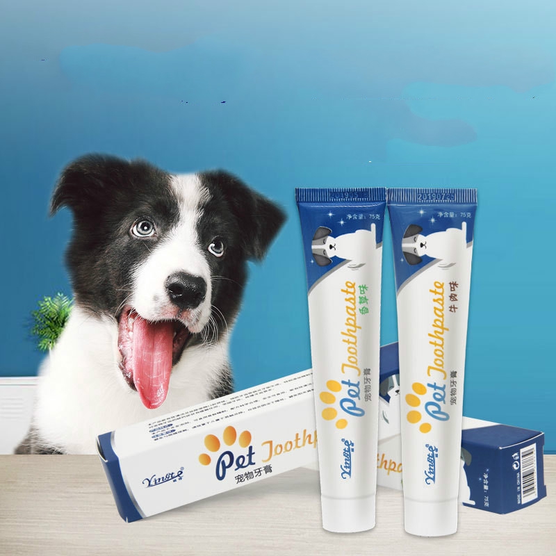 Pet supplies wholesale pet toothpaste dog teeth cleaning tools | Shopee  México