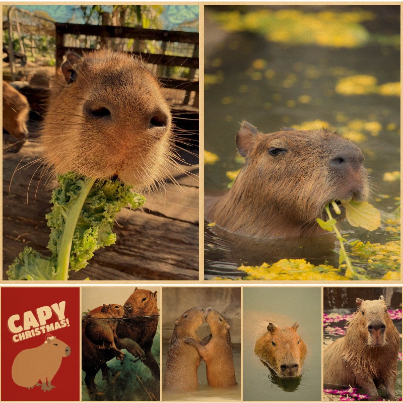 Póster Kawaii Capybara Animales Pósters E Impresiones Pinturas Modernas En  La Pared Para Decoración De Sala De Estar | Shopee México