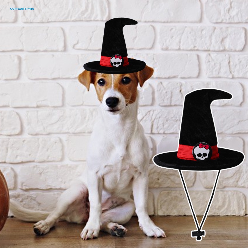 sombrero de perro GFEU Sombrero de paja para perros pack de 2 divertido estilo mexicano disfraz de perro decoración de fiesta 