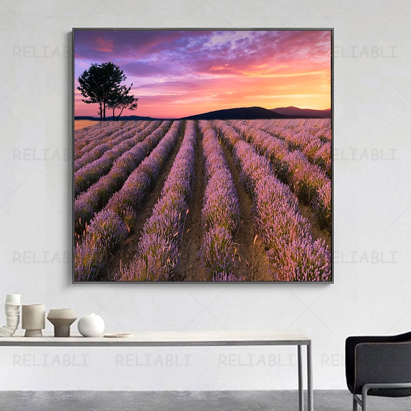 Lienzo Grande Pared Arte Flor Morada campo globo aerostático foto impresión  impresionante Compras satisfechas Recibe ofertas exclusivas Tienda de  descuentos