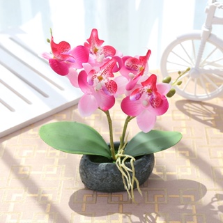 Orquídea Falsa Planta , Orquídeas Blancas Flores Artificiales Con Florero  De Cemento De Imitación Para El Hogar Decoración De Oficina Interior |  Shopee México