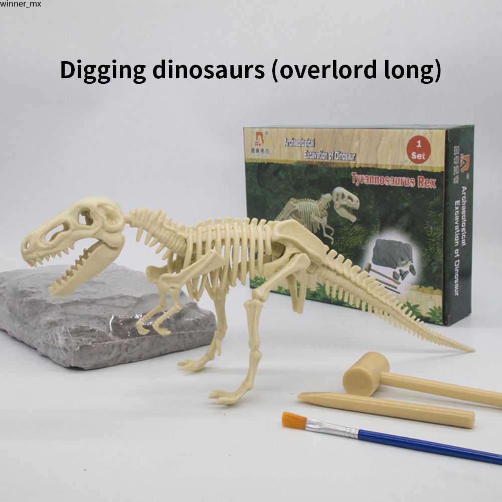 Kit de dinosaurio excavación Arqueología excavación de fósiles Esqueleto  Niños Divertido Juguete Aftermarket Worry-free Compre Auténtico excelente  servicio al cliente 